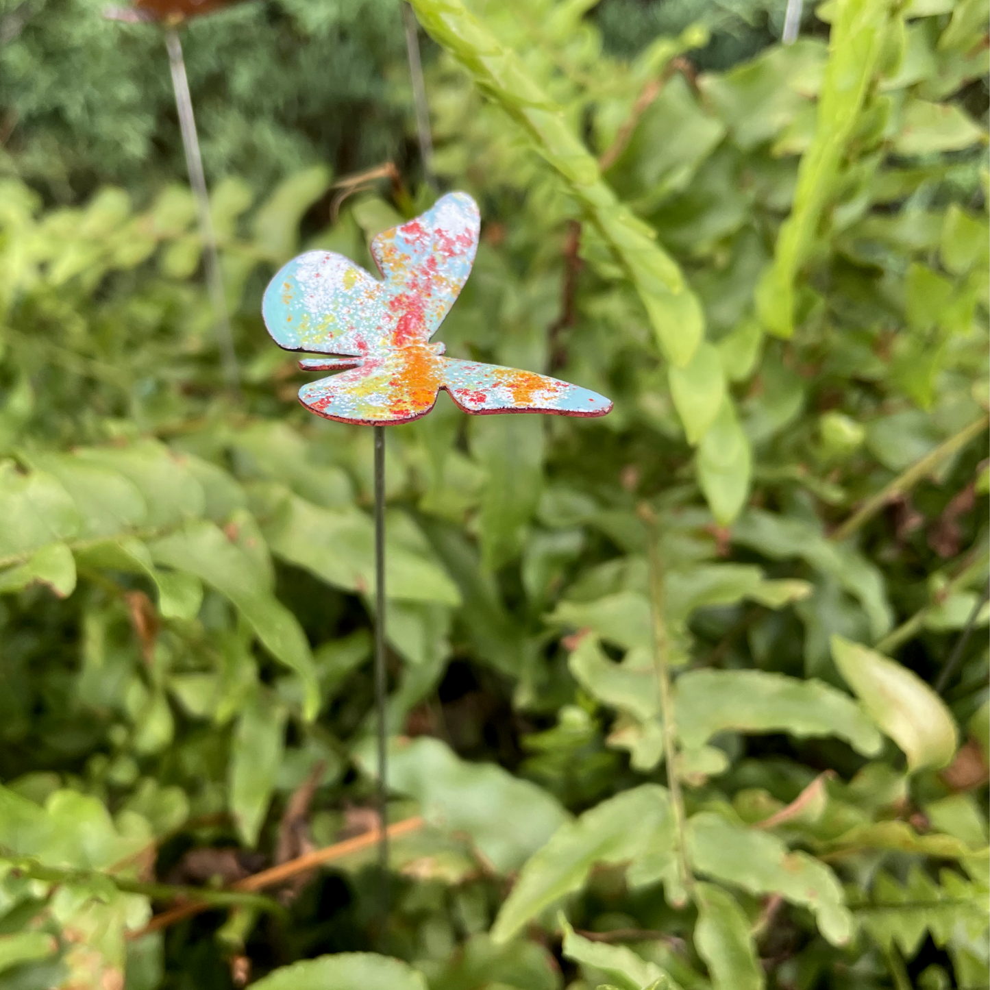 Small Copper Butterfly Plant Spikes