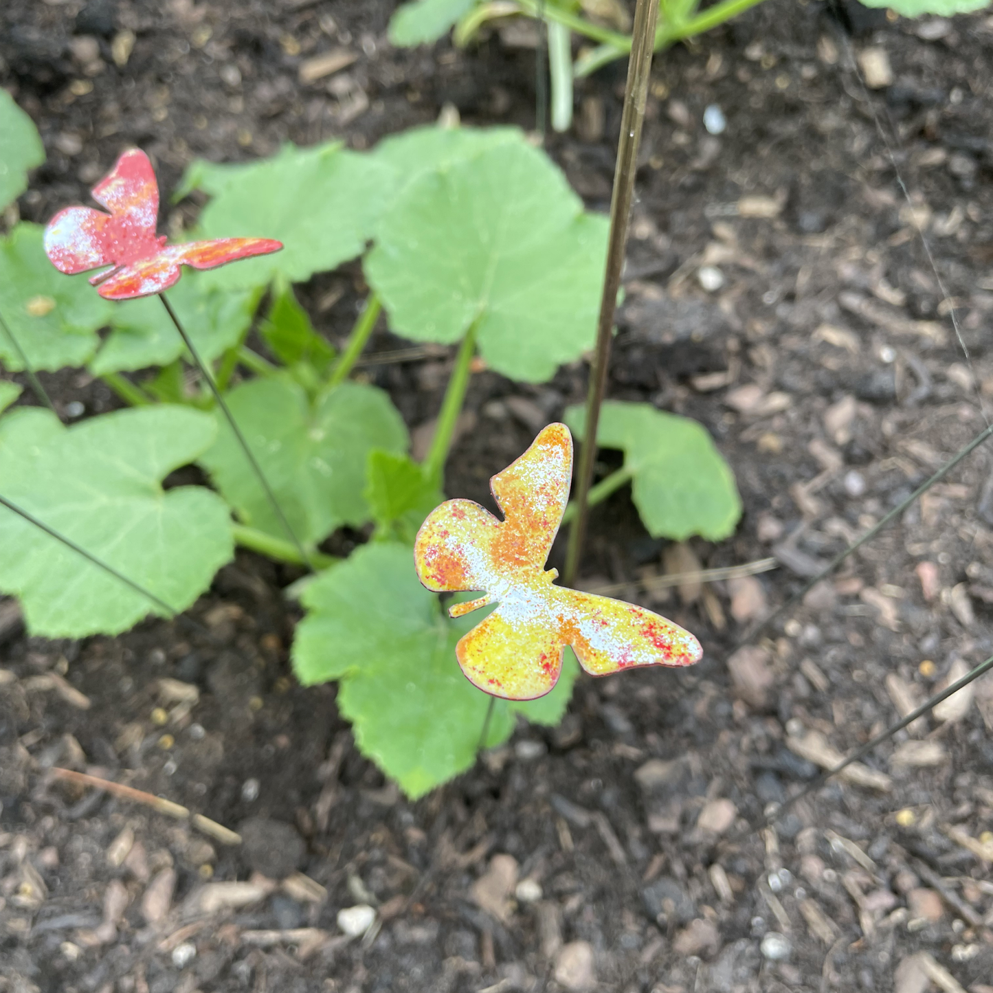 Small Copper Butterfly Plant Spikes