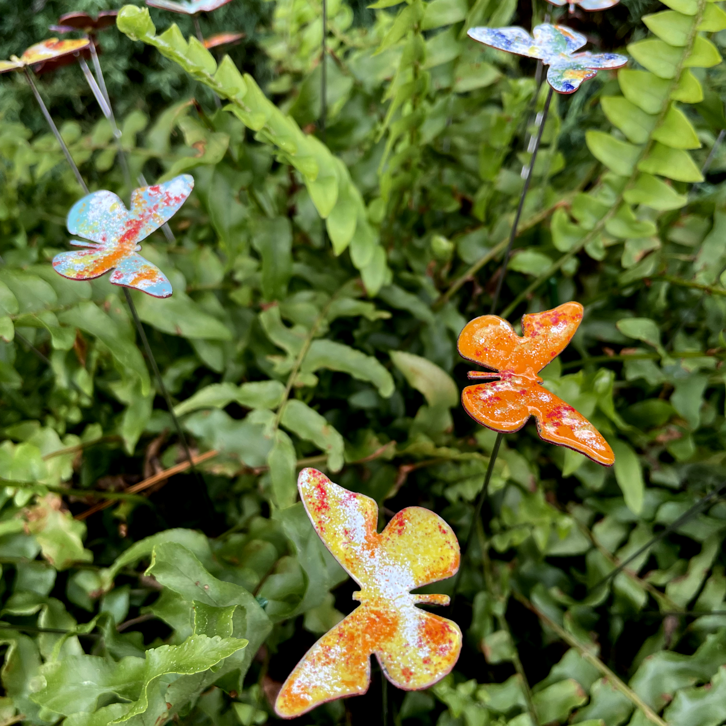 Small Copper Butterfly Plant Spikes