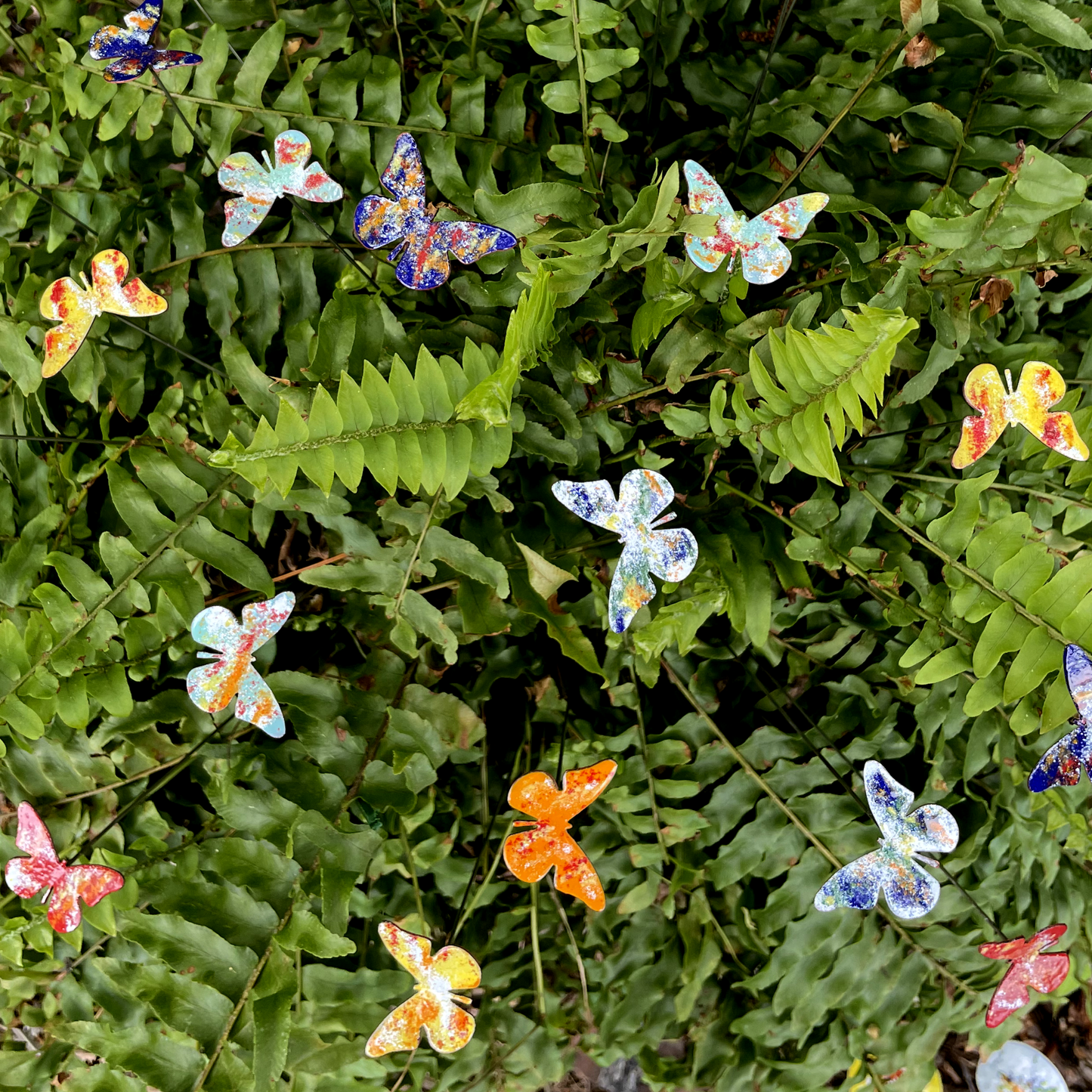 Small Copper Butterfly Plant Spikes