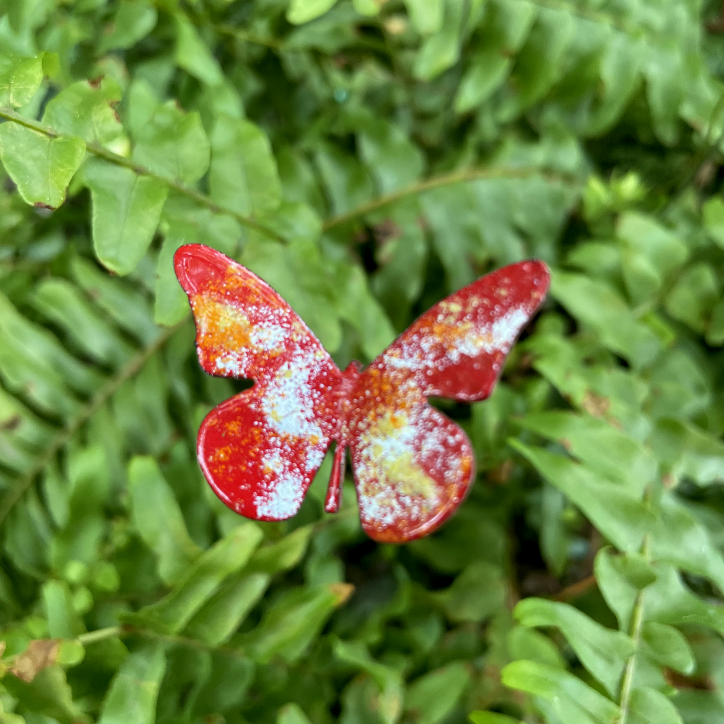 Small Copper Butterfly Plant Spikes