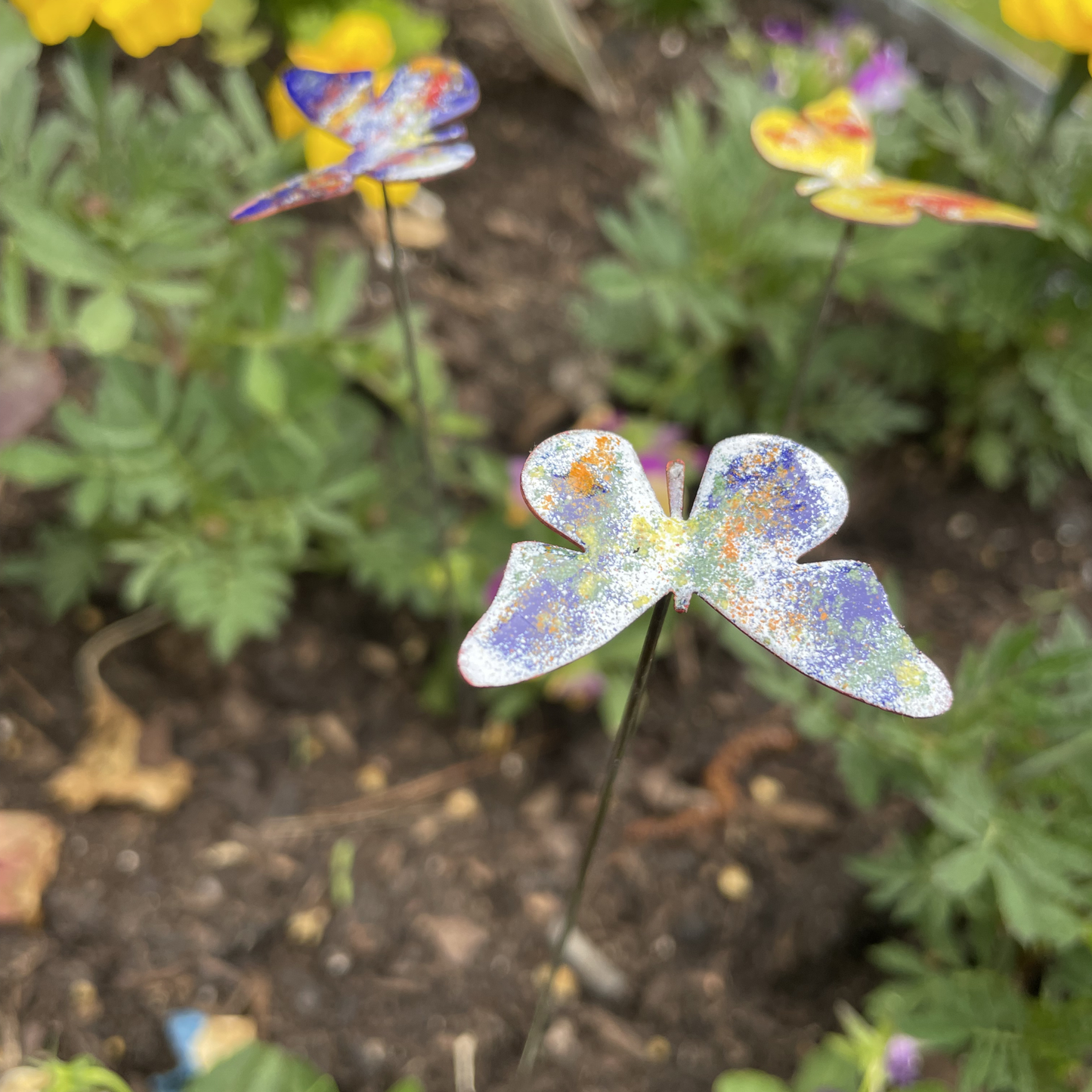 Small Copper Butterfly Plant Spikes