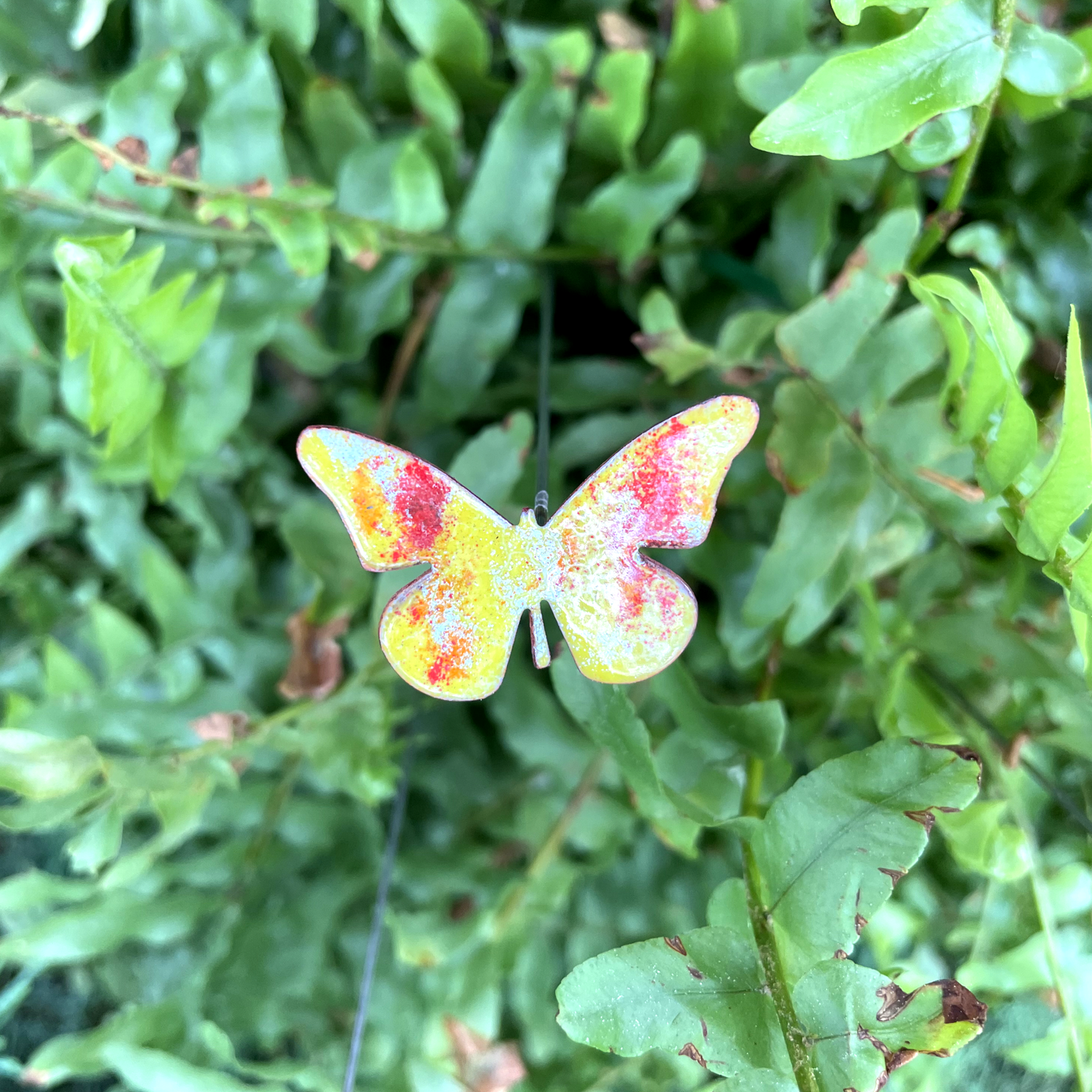Small Copper Butterfly Plant Spikes