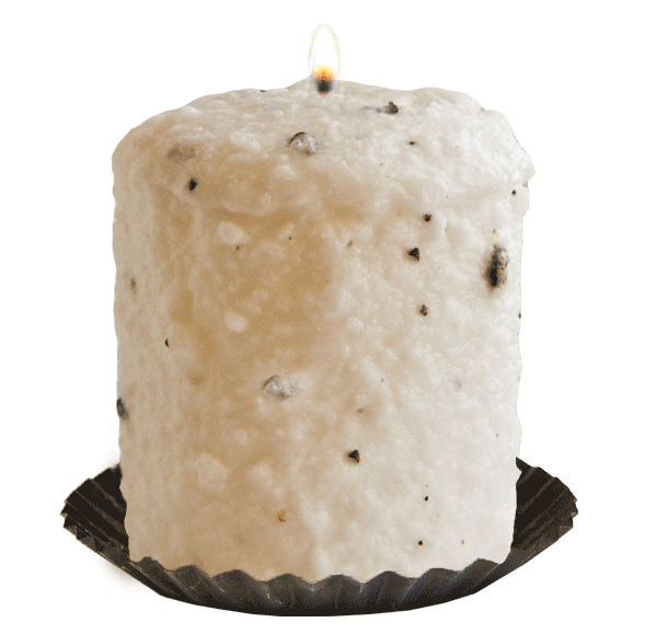 Creamy Vanilla Bean Hearth Candle