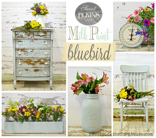 Bluebird Sweet Pickins Milk Paint