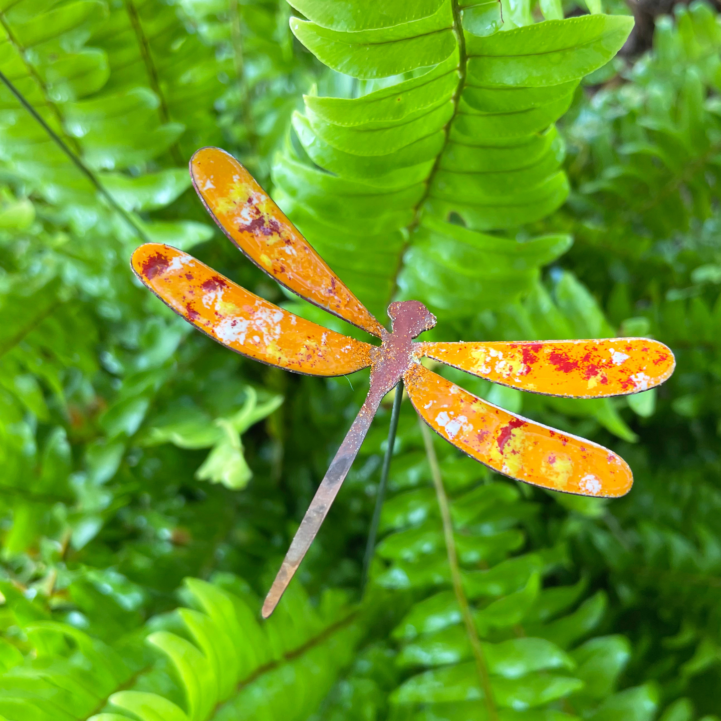 Medium Copper Enamel Dragonflies