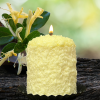 Honeysuckle Hearth Candle Warm Glow Candle
