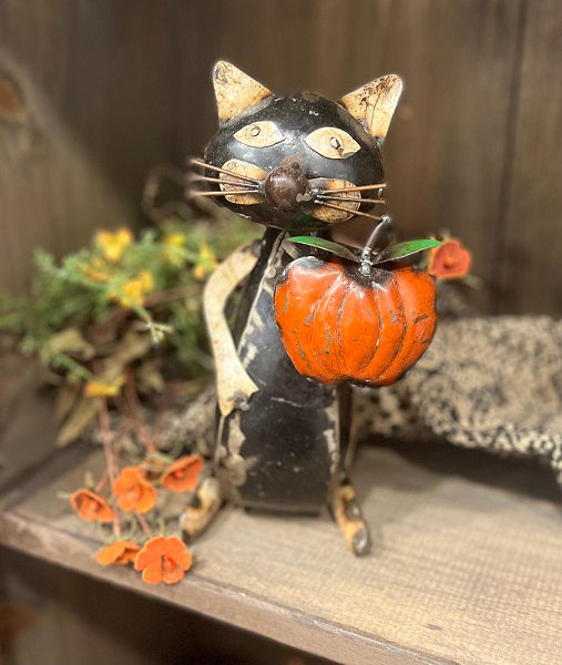 Petey • Reclaimed Black Cat holding Pumpkin